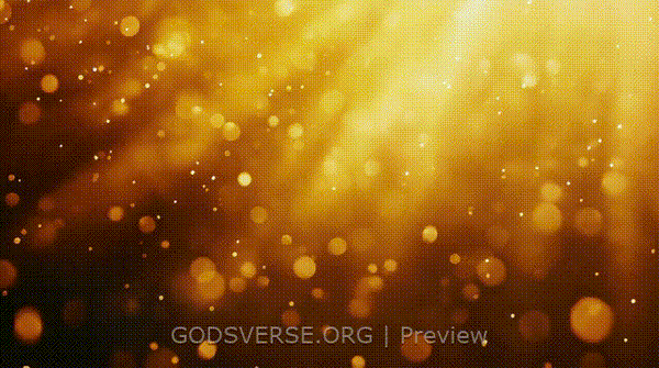 Blank motion background golden hour glow