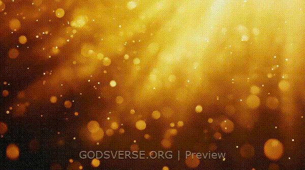 Blank motion background golden hour glow