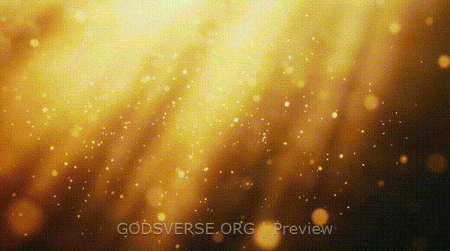 Blank motion background golden hour glow