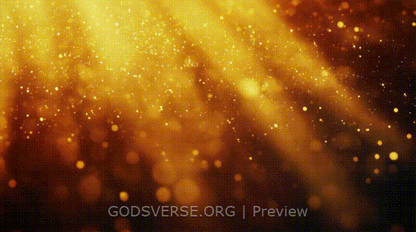 Blank motion background golden hour glow