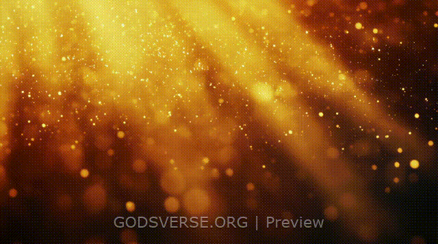 Blank motion background golden hour glow