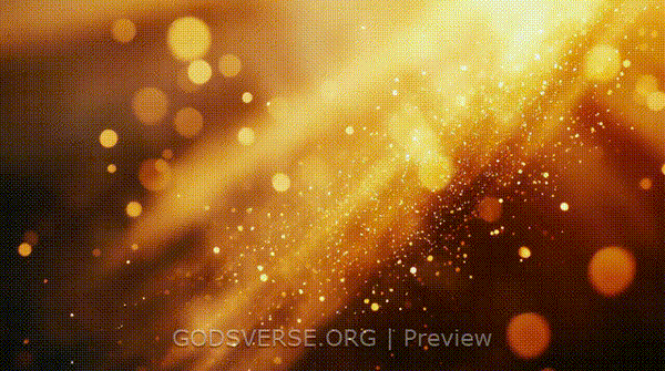 Blank motion background golden hour glow