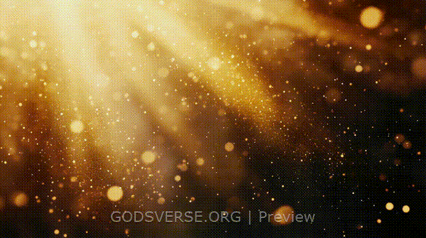 Blank motion background golden hour glow