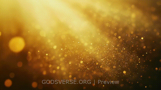 Blank motion background golden hour glow