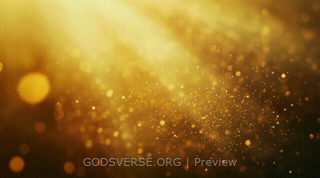 Blank motion background golden hour glow