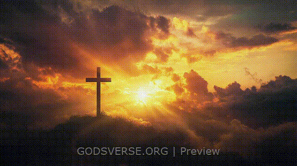 Blank motion background easter collection