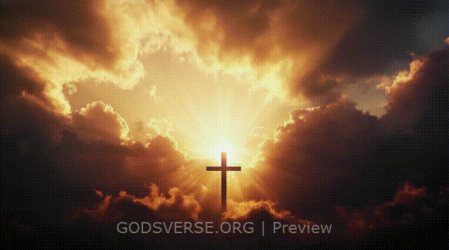 Blank motion background easter collection