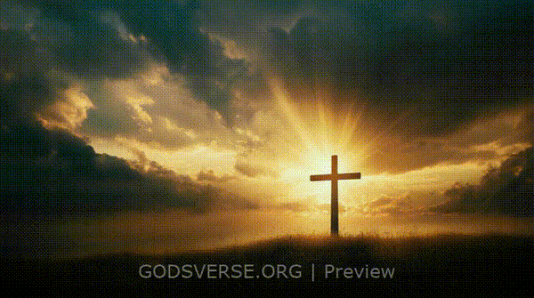 Blank motion background easter collection