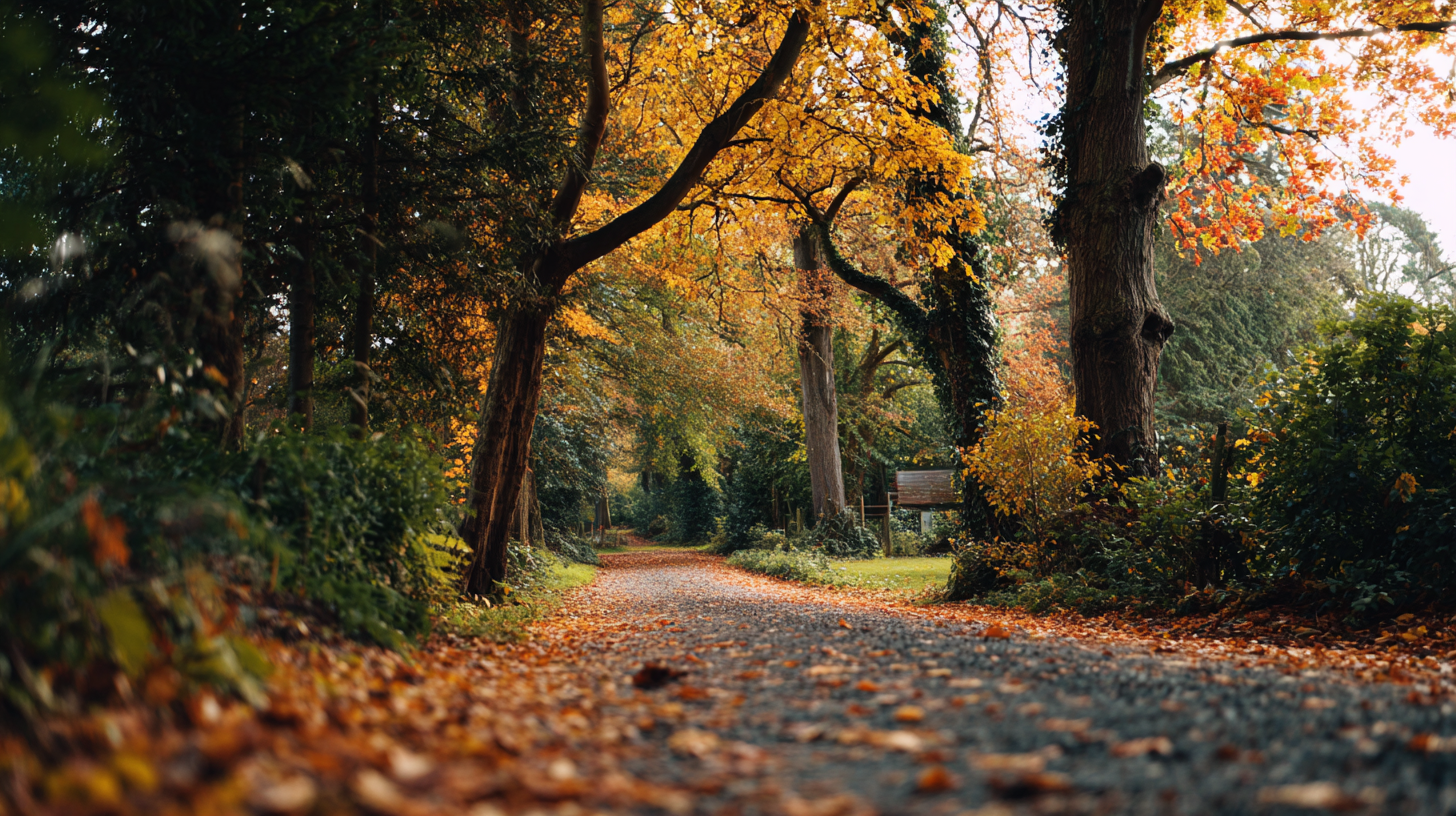 🍂 Fall Season Backgrounds – Warm, Peaceful, and Perfect for Church Media