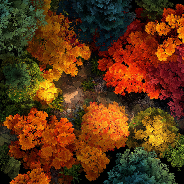 🍂 Fall Season Backgrounds – Warm, Peaceful, and Perfect for Church Media