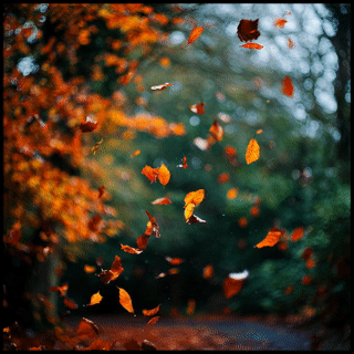 🍂 Fall Season Backgrounds – Warm, Peaceful, and Perfect for Church Media