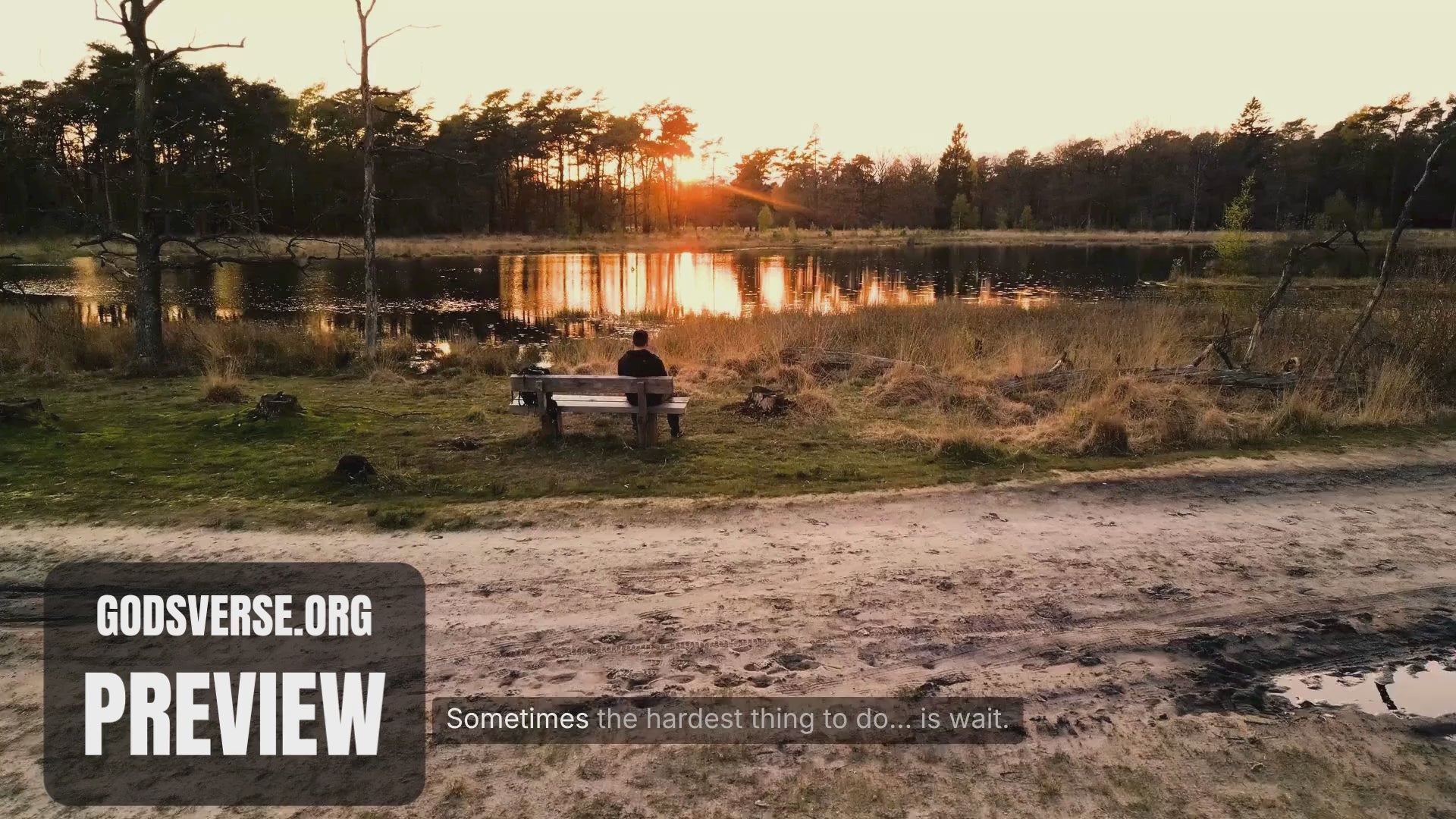 Christmas Advent Video 2: The Waiting Heart
