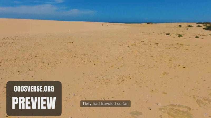 Christmas Advent Video 8: The Wise Men’s Journey