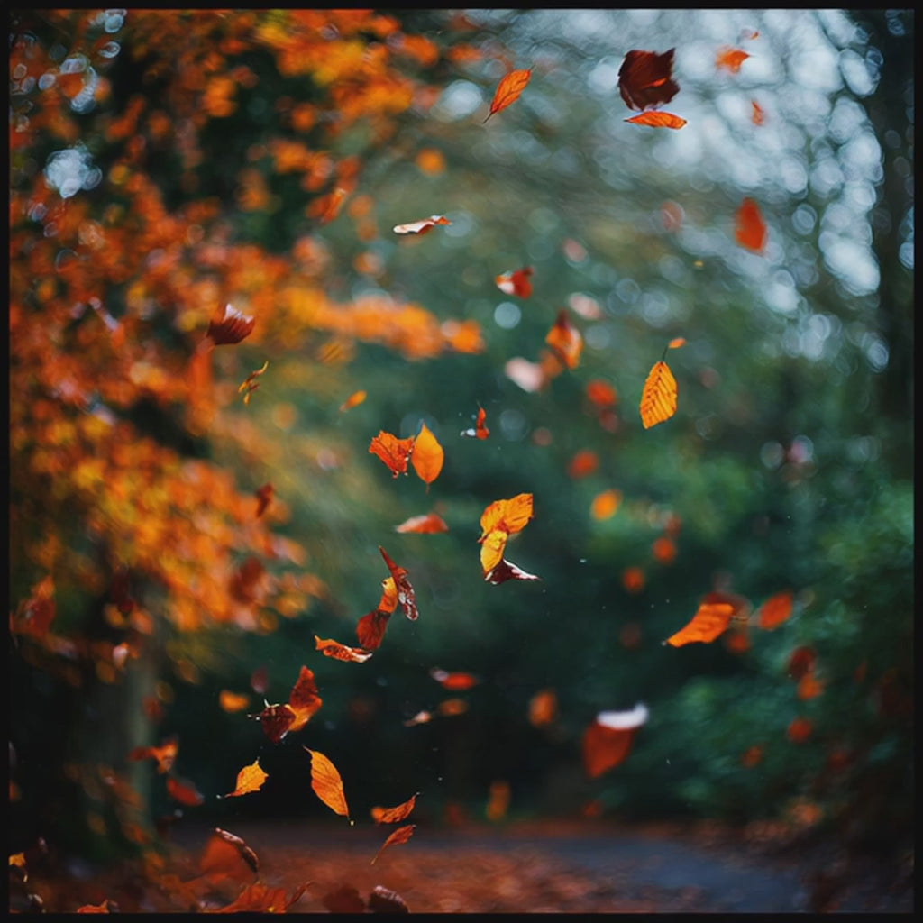 🍂 Fall Season Backgrounds – Warm, Peaceful, and Perfect for Church Media