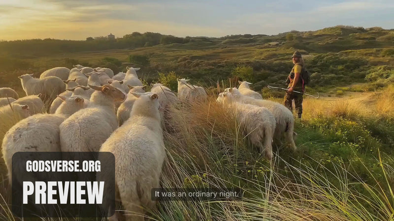 Christmas Advent Video 7: The Shepherds’ Wonder