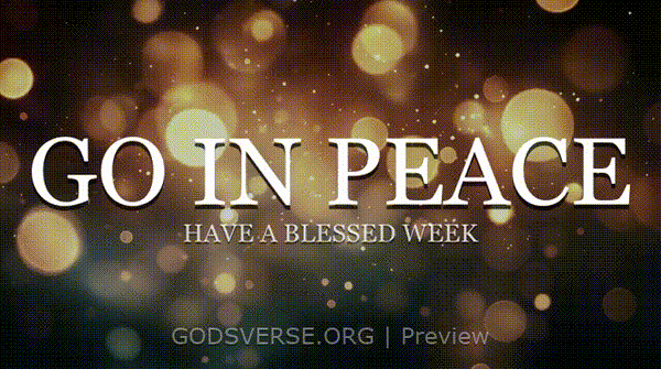 Go In Peace motion background soft bokeh