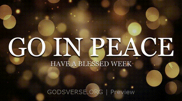 Go In Peace motion background soft bokeh